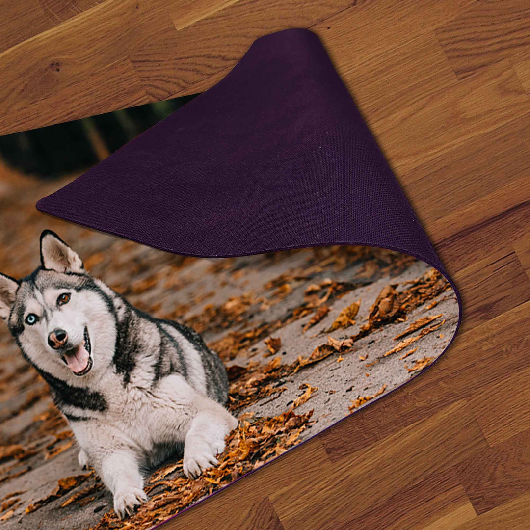 Custom rug PET